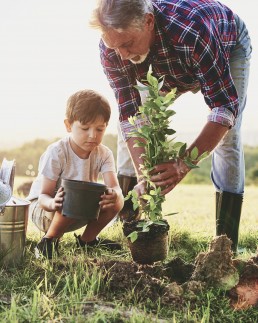 compromiso ecol&oacute;gico ecoestores